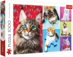 Puzzle Happy Cats 1000 pieces 68.3x48 cm in a box 40x27x6 cm