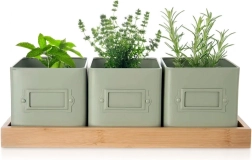 Lot de pots de fleurs GREENISH pour herbes aromatiques avec support, 3 pièces
