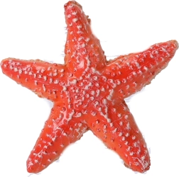 Sammelfigur Seestern, Papo