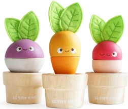 Wooden Vegetable Flower Pots LE TOY VAN