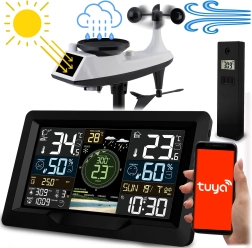 Kabellose Wetterstation mit Wind- und Regenmessung Berdsen