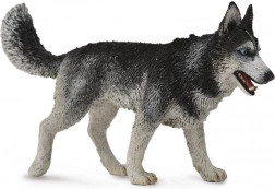 Collecta husky de Sibérie – figurine