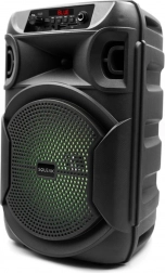 Bluetooth-Lautsprecher Squeak PulseTower mit Karaoke, 1000 W