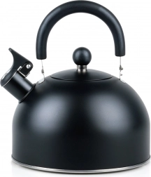 Stainless steel black kettle with whistle 3 l
