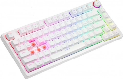 White mechanical keyboard RGB PHENIX WHITE Gateron Red