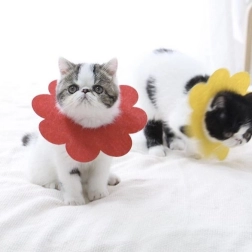 Weicher postoperativer Schutzkragen für Haustiere, rot – Größe L