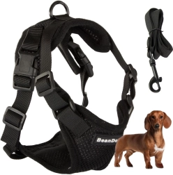 Pressure-free breathable harness for small dogs, size M, black with leash