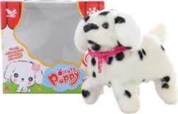 Walking Dalmatian Puppy with Somersaults