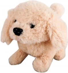 Chiot beige à piles