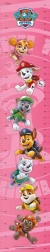 toise PAW PATROL rose