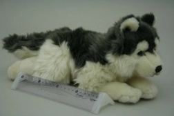 Plush Husky Dog 35 cm