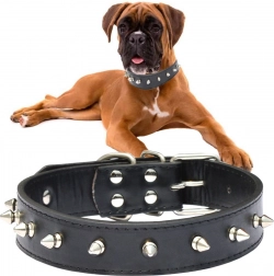 Adjustable eco-leather dog collar with studs, size L