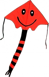 Vlieger met glimlach 80 × 60 cm