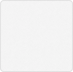 PGYTECH Protective Pouch Size S (Maze)