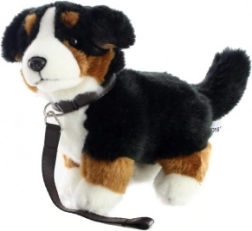 Plush Bernese Mountain Dog with Leash