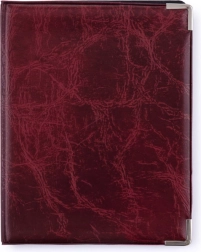 Decoratieve documenthoes met glans