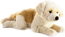 Large Plush Retriever 55 cm