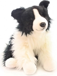 Plush Border Collie 35 cm