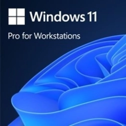 Windows 11 Pro for Workstations OEM (PL, 64 bits)