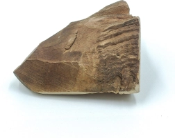 Explorer Dog heather chewing root for dogs, size S