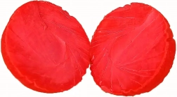 Robuster Gummiball für Hunde 6 cm