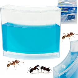 Educational gel ant aquarium