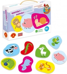 Alexander entdecken für die Kleinsten – Farbplättchen