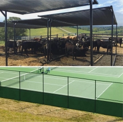 Sicht- und Privatsphäre-Zaunnetz 1,5 × 25 m, grün, 60 g/m²