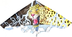 Vlieger voor kinderen 115 × 72 cm