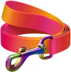 Waudog overgangs nylon hondenriem, oranje