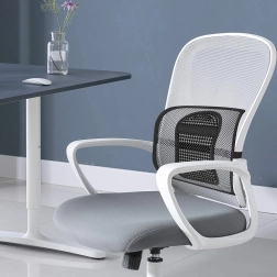 Orthopädische Rückenstütze