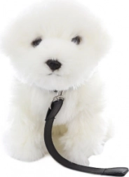 Plush Maltese Dog with Leash 28 cm