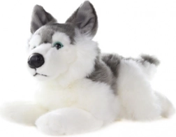 Plush Husky 34 cm