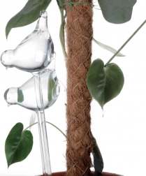 Gläserne Selbstbewässerungs-Kugeln für Blumentöpfe – Vögel, 2 Stk.