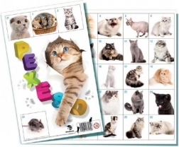 Cat Memory Game