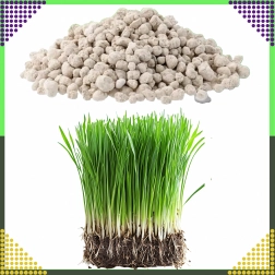 Mehrkomponenten-Rasendünger NPK 20-8-10 Granulat 10 kg