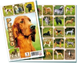 Pexeso Dogs board game