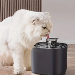 Automatic Fountain for Cats and Dogs 2.2 L – Quiet Bowl with Filtration
