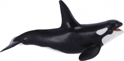 Sammlerfigur Orca – PAPO