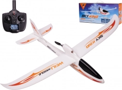 WLtoys Sky King F959S avion RC 2,4 GHz