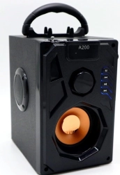 Zs53 Bluetooth radio speaker