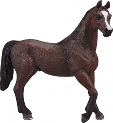 Mojo Arabian Stallion