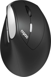 Rapoo EV250 Ergonomic Wireless Mouse