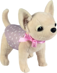 Chihuahua Puppy DIDI