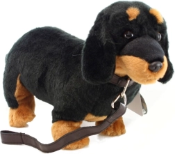 Plush Dachshund with Leash 36 cm