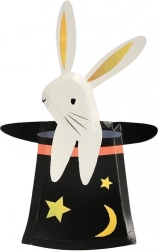 Paper Plates Rabbit in a Hat Abracadabra MERI MERI