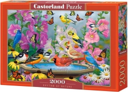 Puzzle 2000 pièces Rhythm of Nature