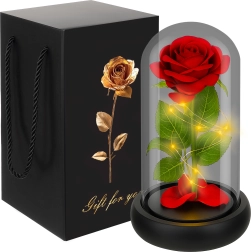 Ruhhy ewige Rose im Glas mit LED-Beleuchtung in Geschenkbox XL - 1 Stück