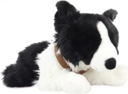 Plush Toy Border Collie