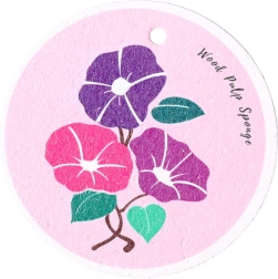 Natuurlijke spons voor afwas fiolet